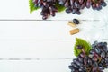 Bunches Black grapes and wine glass on a light table Top view