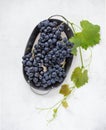 Bunches of blue grapes on a plate on a light background Royalty Free Stock Photo