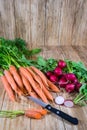 Bunches of carrots and radishes Royalty Free Stock Photo