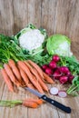 Bunches of carrots, radishes, lettuce and cauliflower Royalty Free Stock Photo