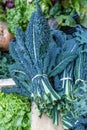 Bunches of Cavolo Nero Royalty Free Stock Photo