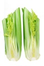 Bunches of Celery Stalks