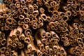 Bunches of cinnamon sticks in a herbal shop Royalty Free Stock Photo