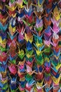 Bunches of colorful Origami paper crane birds full frame Royalty Free Stock Photo