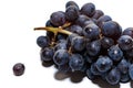 Bunches of dark grapes isolated on white background Royalty Free Stock Photo