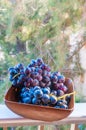 Bunches of dark grapes in a wooden bowl Royalty Free Stock Photo
