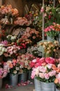 Bunches of Flowers in Buckets