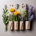 Bunches of Flowers Herbs and Dried Flowers in Kraft Packaging on White Background