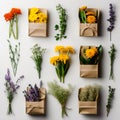 Bunches of Flowers Herbs and Dried Flowers in Kraft Packaging on White Background