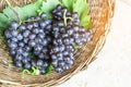 Bunches of fresh deep black ripe grape fruits with green leaves in a brown rattan basket, top view photo