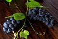 Bunches of fresh grapes with branches and leaves on rustic wooden table