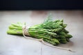 bunches of fresh, green asparagus tied together Royalty Free Stock Photo