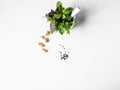 Bunches of fresh herbs - tarragon, thyme, dill, parsley and purple basil in white mortar and next garlic and black pepper. Top Royalty Free Stock Photo