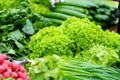 Bunches of organic lettuce sold on farmer`s market Royalty Free Stock Photo