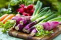 Bunches of fresh red small and long radish, carrots and purple onion, new harvest of healthy vegetables Royalty Free Stock Photo