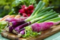 Bunches of fresh red small and long radish, carrots and purple onion, new harvest of healthy vegetables Royalty Free Stock Photo