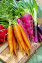 Bunches of fresh red small and long radish, carrots and purple onion, new harvest of healthy vegetables Royalty Free Stock Photo