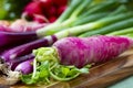 Bunches of fresh red small and long radish, carrots and purple onion, new harvest of healthy vegetables Royalty Free Stock Photo