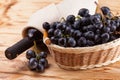 Bunches of fresh ripe blue grapes in wicker basket on piece of sackcloth on a wooden textured backdrop. Beautiful background with Royalty Free Stock Photo