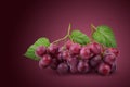 Bunches of fresh ripe red grapes on a red background Royalty Free Stock Photo