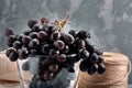 Bunches of fresh ripe red grapes on a concrete textural surface. Branch of pink grapes. Red wine grapes. dark grapes Royalty Free Stock Photo