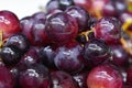 Bunches of fresh ripe red grapes . Red wine grapes. Royalty Free Stock Photo