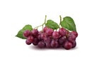 Bunches of fresh ripe red grapes on white background Royalty Free Stock Photo
