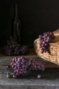 Bunches of fresh ripe red grapes on a wooden textural surface. Branch of pink grapes. Red wine grapes. dark grapes. Still life of Royalty Free Stock Photo