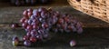 Bunches of fresh ripe red grapes on a wooden textural surface. Branch of pink grapes. Red wine grapes. dark grapes. Still life of Royalty Free Stock Photo