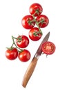 Bunches of fresh ripe red tomatoes on the vine Royalty Free Stock Photo