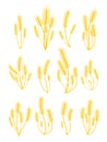 Bunches of golden wheat