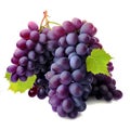 Bunches of grapes isolated on a white background AI-Generated Royalty Free Stock Photo