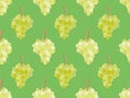 Bunches of grapes seamless pattern on a green background for brochures, promotional material and wallpaper. Vector illustration Royalty Free Stock Photo