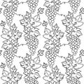 Bunches of grapes. Vine. Seamless pattern. Vector line drawing on white or transparent background. Grapevine. Floral background