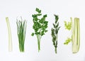 Bunches of green leafy vegetables (parsley, dill, onion) and celery stalks arranged in a row on a white background Royalty Free Stock Photo