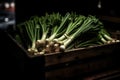 bunches of green onions in a box in a market stall, medieval fantasy, shaded background, front lighting