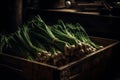 bunches of green onions in a box in a market stall, medieval fantasy, shaded background, front lighting