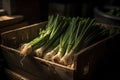 bunches of green onions in a box in a market stall, medieval fantasy, shaded background, front lighting