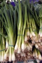 Bunches of green onions