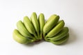 Bunches of green, underripe baby bananas fanned out