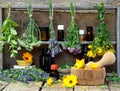 Bunches of healing herbs - mint, yarrow, lavender, clover, hyssop, milfoil, mortar with flowers of calendula and bottles, Royalty Free Stock Photo