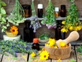 Bunches of healing herbs - mint, yarrow, lavender, clover, hyssop, milfoil, mortar with flowers of calendula and bottles, Royalty Free Stock Photo