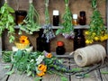 Bunches of healing herbs - mint, yarrow, lavender, clover, hyssop, milfoil, mortar with flowers of calendula and bottles,