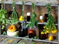 Bunches of healing herbs - mint, yarrow, lavender, clover, hyssop, milfoil, mortar with flowers of calendula and bottles, Royalty Free Stock Photo