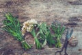 Bunches of healing herbs, old scissors on board. Herbal medicine.