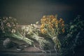 Bunches of healing herbs on wooden board. Herbal medicine. Royalty Free Stock Photo