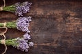 Bunches of healthy fresh aromatic lavender Royalty Free Stock Photo