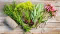 Bunches of herbs, coneflowers, scissors and jute rope