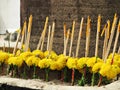 Bunches of marigold flowers with joss sticks and candles Royalty Free Stock Photo