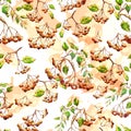 Rowanberry vector drawing, seamless pattern with orange watercolor spots on a white background Royalty Free Stock Photo